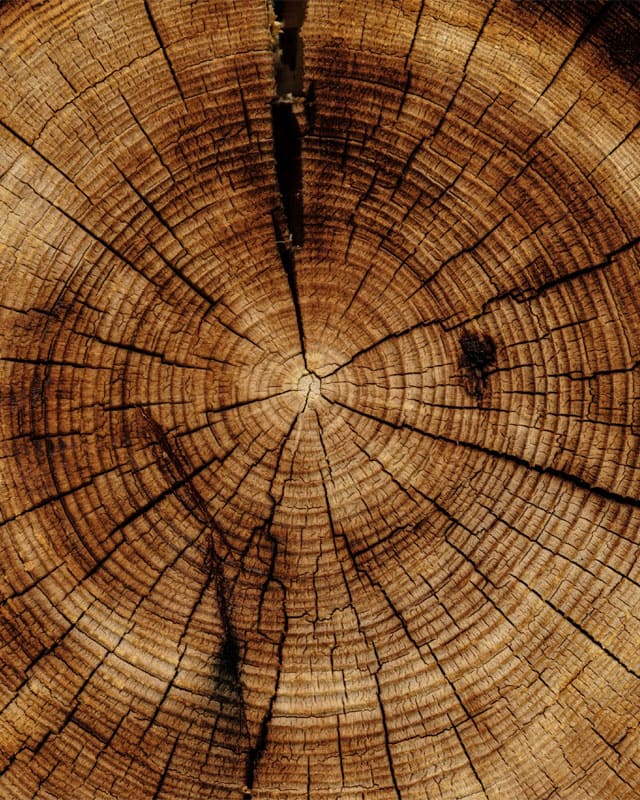 Woodworks